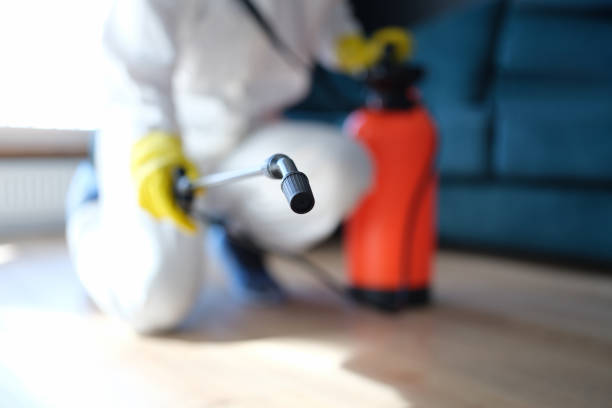 Dehumidification Services in Mayo, FL