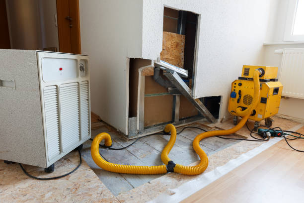 Best Commercial Mold Inspection  in Mayo, FL