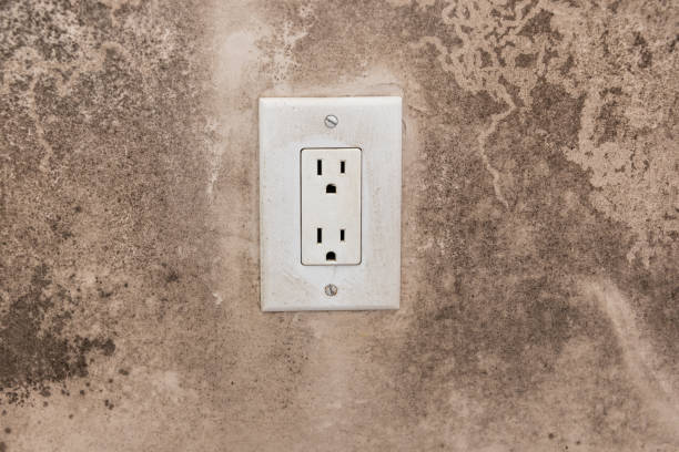 Best Residential Mold Inspection & Testing  in Mayo, FL